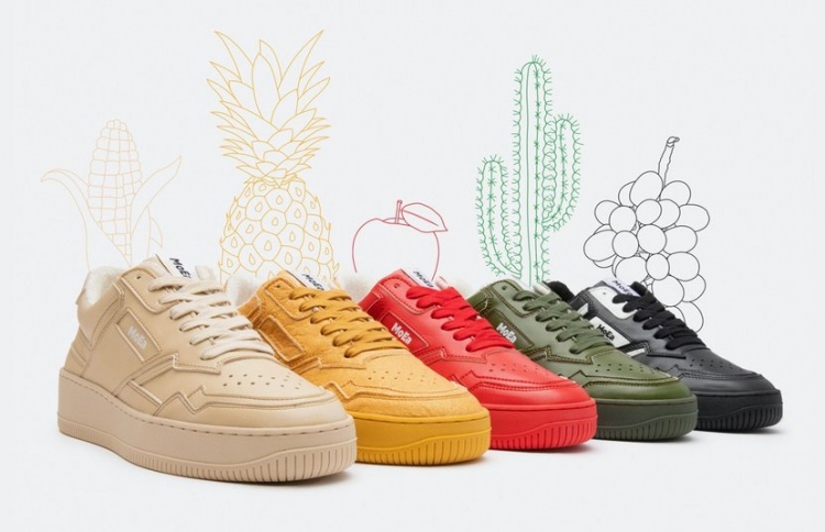 މޭވާގެ ކުނިން ބޫޓު ކަލެކްޝަނެއް