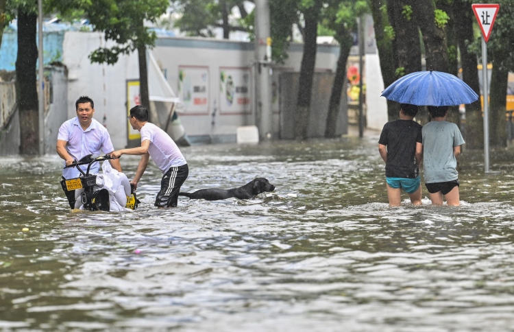 ވިހަ ގޭސްތައް 2020ގައި ރެކޯޑް މިންވަރަކަށް މައްޗަށް