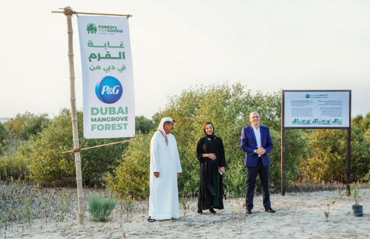 ދުބާއީ ފެހިކުރަން މިލިއަން ގަސް އިންދަނީ