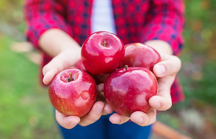 ކުލަގަދަ ކާނާތަކުން ވިސްނުން ތޫނުކޮށްދޭ