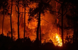 This photograph shows a forest burning as a massive wildfire engulfed a Mediterranean resort at the Marmaris district of Mugla, on August 1 2021. - At least three people were reported dead on July 29, 2021 and more than 100 injured as firefighters battled blazes engulfing a Mediterranean resort region on Turkey's southern coast -- Photo: Yasin Akgul/ AFP