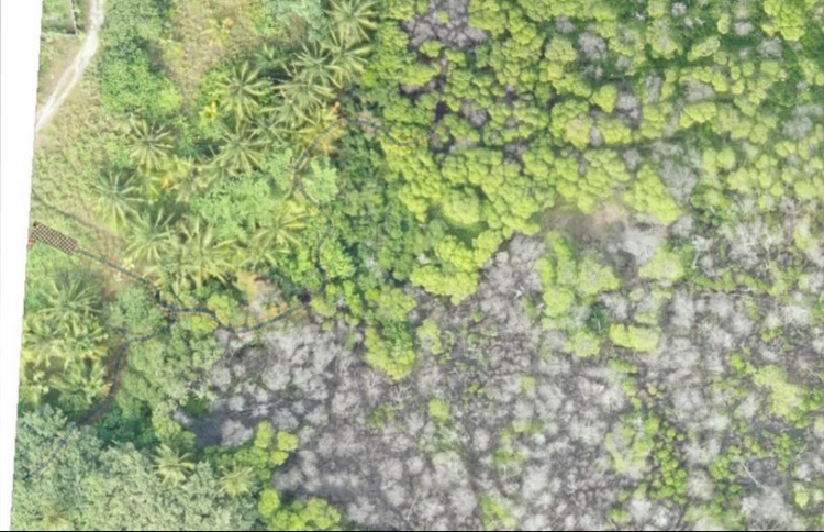 ކެލާގައި ކަނޑޫ ހޮވުން މަނާކޮށްފި