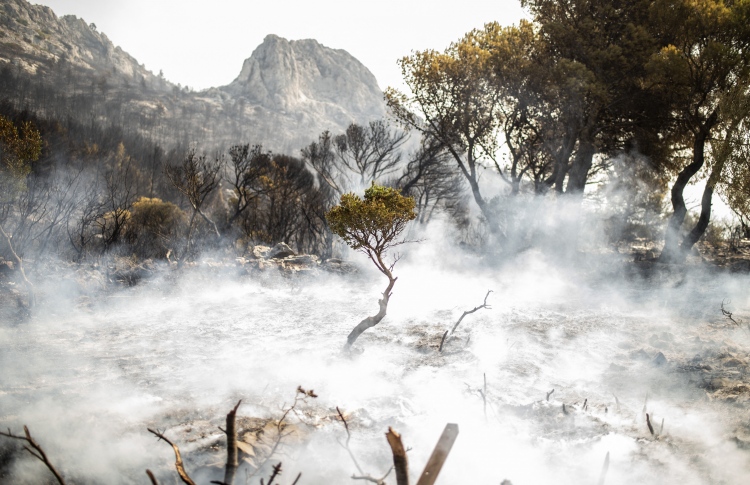 ދުނިޔެ ސަލާމަތް ކުރަން އޮތީ މަދު އަހަރުތަކެއް