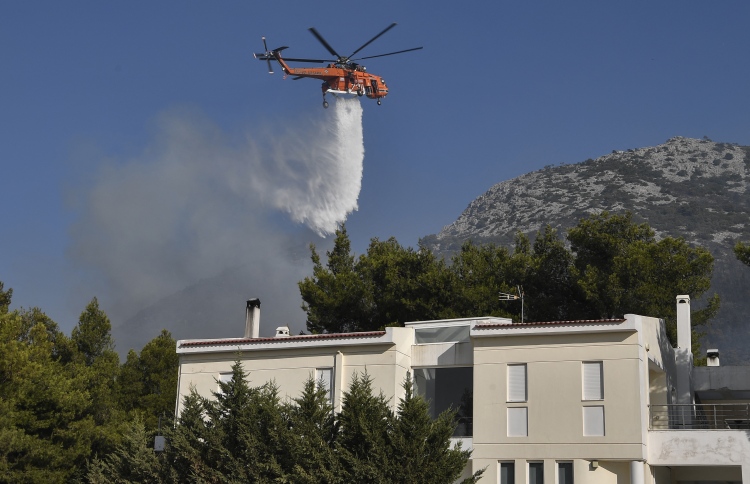 ޖަންގަލިތައް އަނދާތީ ގްރީކު ބިރުވެރިކަމެއްގައި