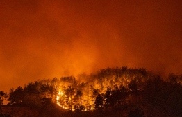 This picture shows flames rising from a forest burning in Akcayaka village in Milas area of the Mugla province, on August 6, 2021. - In Turkey, at least eight people have been killed and dozens more hospitalised as the country struggles against its deadliest wildfires in decades. (Photo by Yasin AKGUL / AFP)