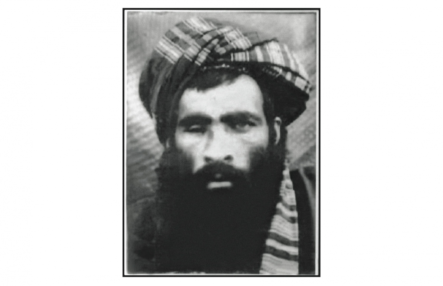 އަލްގައިދާ އަށް ހިމާޔަތް ދިން، އަފްގާންގެ ކުރީގެ ރައީސް މުއްލާ އުމަރު