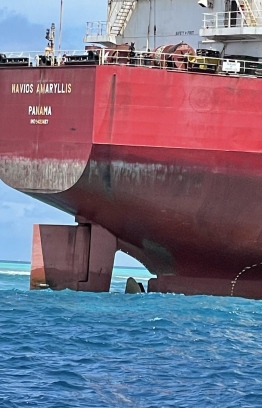 Navio Amaryllis  aground on Rasfaree Reef -- Photo: MNDF