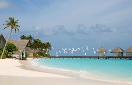 Maldives Haven for Travellers