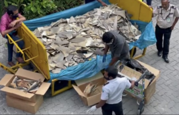 243 ކިލޯ މިޔަރުއުރަހައިިގެ މައްސަލަ އަދިވެސް ނުނިމޭ