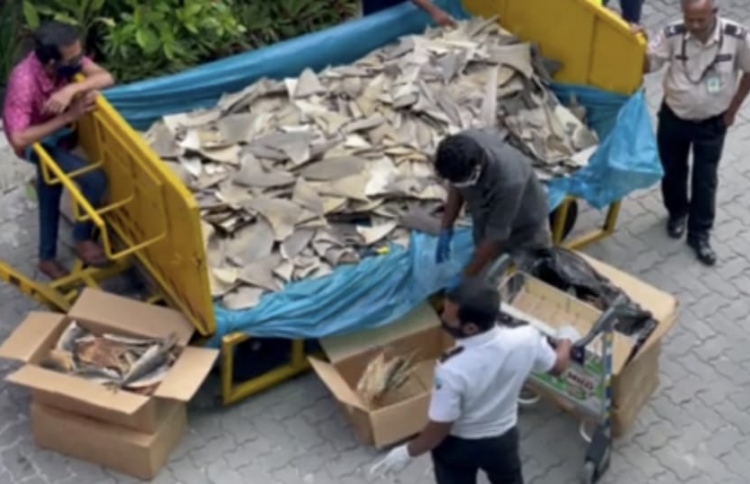 ގިނަ އަދަދެއްގެ މިޔަރު އުރަހަ އެއާޕޯޓުން ހިފަހައްޓައިފި