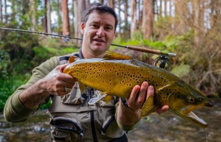 "ފިޝް އޮފް ދަ ޑޭ" ބަލަންވީ މީޑިއާނެޓުން