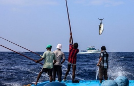 Fishers at sea