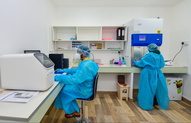 ބަލި ރިޕޯޓް ނުކުރުމާއި ދޮގު ރިޕޯޓްކުރުމުން ޖޫރިމަނާ