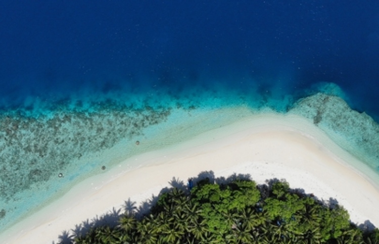 ޓީޖީއެސްޓީ އާއި ގްރީން ޓެކްސް ނުދައްކާ 170 ފަރާތެއް