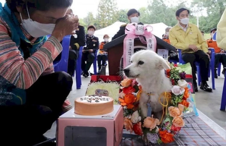 މީހަކު ސަލާމަތްކޮށްދޭން ކުއްތާއެއްގެ ބޮޑު އެހީއެއް