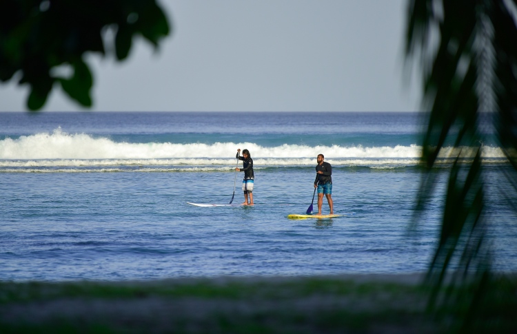 ޑައިވިންއަށް ދިޔަ ތައިލެންޑުމީހަކު ގެނބިގެން މަރުވެެެއްޖެ