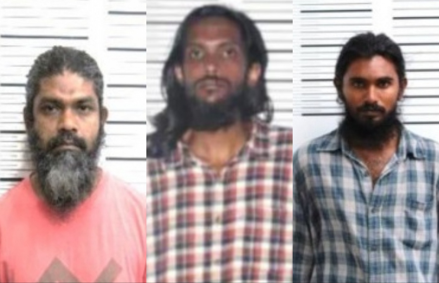 ދައުވާލިބޭ ފަހުމީ އަލީ އާއި މުހައްމަދު ނާޒިމް އަދި އިސްހާގު.--