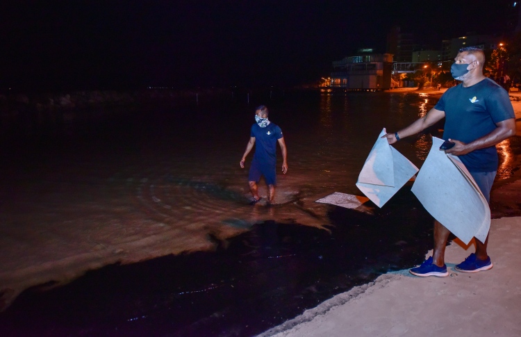 ރަސްފަންނު ކަޅުތެލުން ތަޣައްޔަރުވެއްޖެ