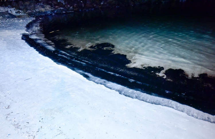 "ރަސްފަންނު މޫދުން ތެލުގެ އަސަރު އަންނަނީ ކެނޑެމުން"