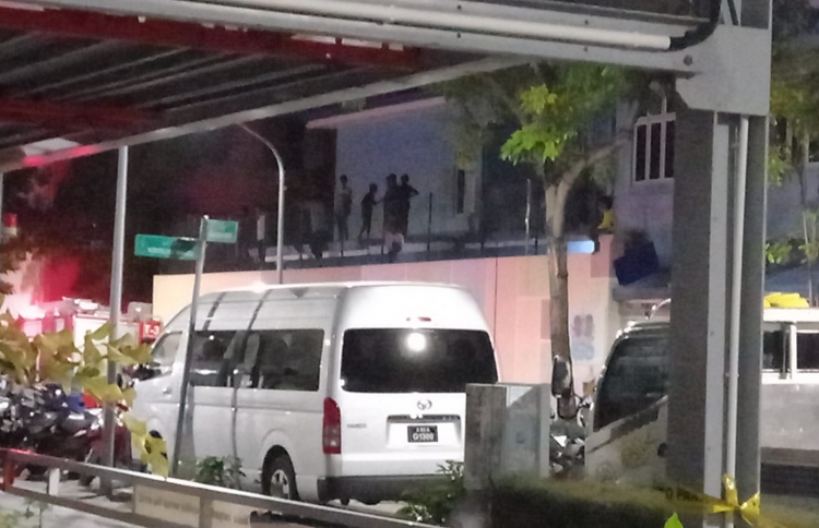 ކުދިން އުޅޭ ގޮތް ބެލުމަކީ އިތުރަށް ޓްރިގާ ވާނެ ކަމެއް