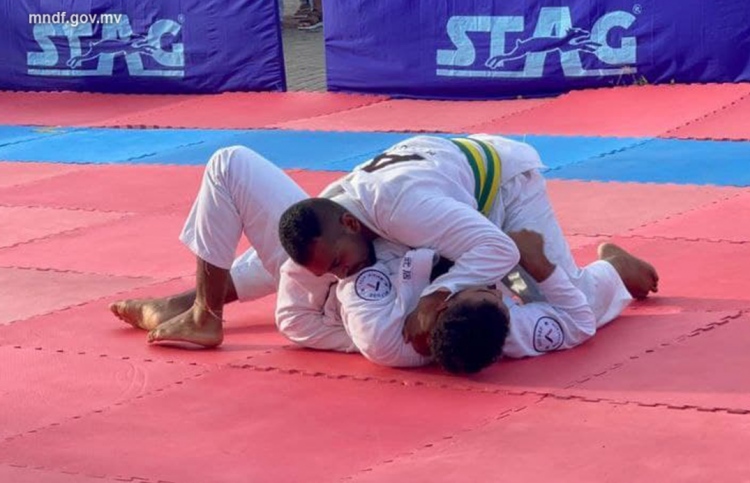 މާޝަލް އާޓްސްގެ ޗެމްޕިއަންކަން ސިފައިންގެ މީހަކަށް