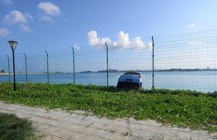 ހައިވޭގެ ފެންސް ފަޅާލައި ކާރެއް ފުރޮޅާލައިފި