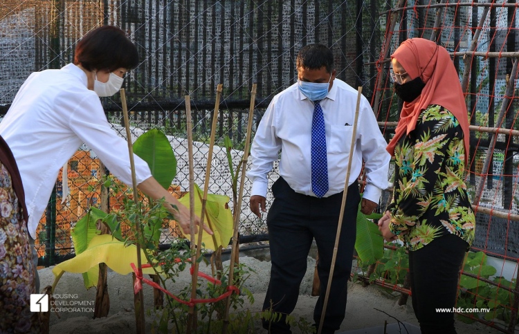 ހުޅުމާލޭގެ އާބަން ފާމިން މަޝްރޫއު އިފުތިތާހުކޮށްފި