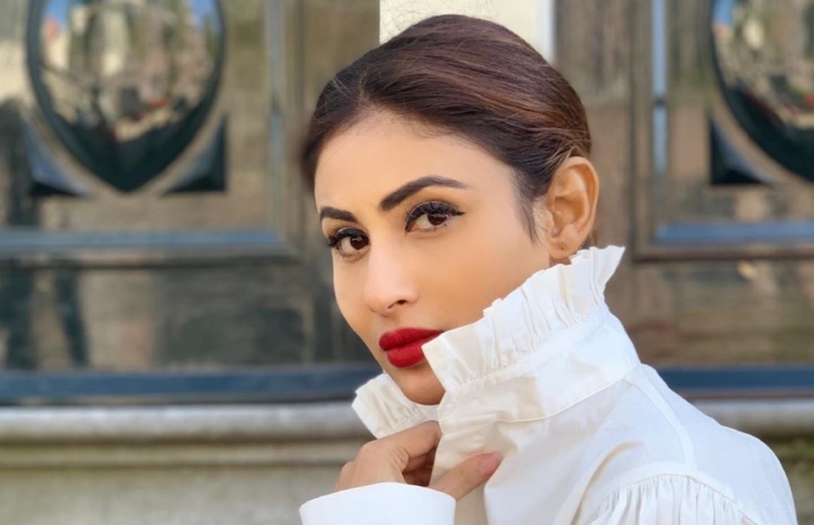 މޯނީގެ ކައިވެނި ޖެނުއަރީގައި