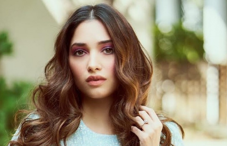 "މާސްޓަ ޝެފް" ގޮވައިގެން ތަމަންނާ ކޯޓަށް