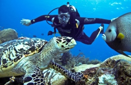 Tourist attractions; Top Best Dive Sites in the World
Image curtesy Imtiajul Costa Rica