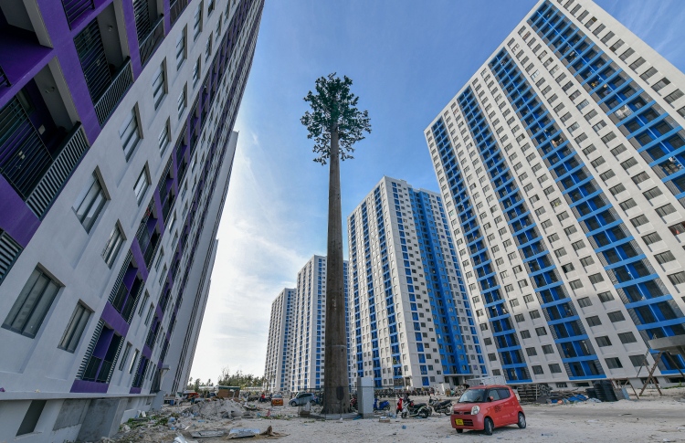 ހިޔާގެ ގްރޭސް ޕީރިއަޑް އިތުރުކުރަން މަޝްވަރާ ކުރަނީ