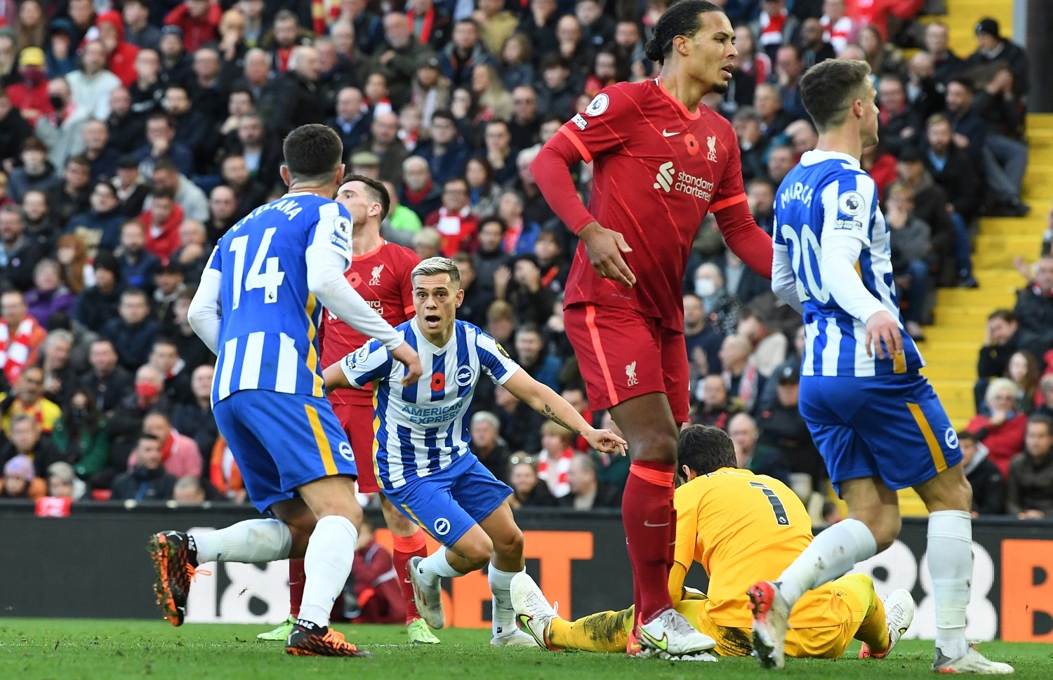 ބްރައިޓަންގެ ޓްރޮސާޑް ލިވަޕޫލާ އެއްވަރުކުރި ލަނޑު ޖެހުމަށް ފަހު.-- ފޮޓޯ: އޭއެފްޕީ