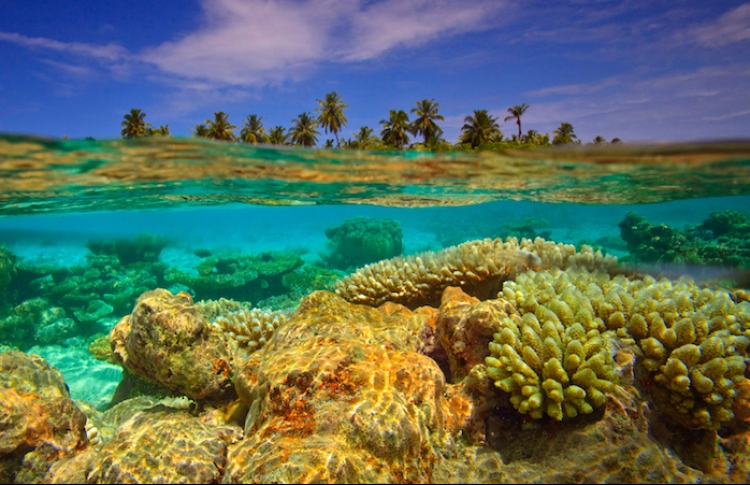 ރާއްޖޭގެ ފަރުތައް އިއާދަވާ ކަމުުގެ ނިޝާންތައް ފެނިއްޖެ