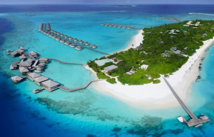 ރިސޯޓެއްގެ ޖެނެރަލް މެނޭޖަރަކަށް ހަމަލަދީފި