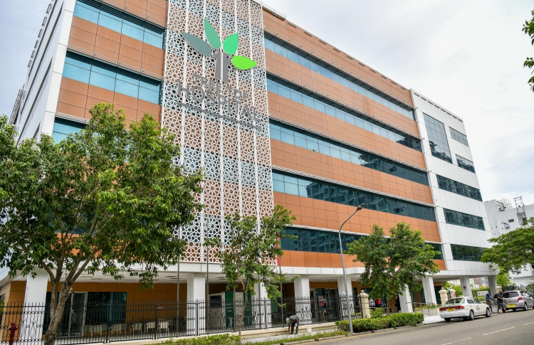 އަގުތައް ބޮޑުކުރުމުގެ ވިސްނުމެއް އަދި ނެތް: ޓްރީ ޓޮޕް