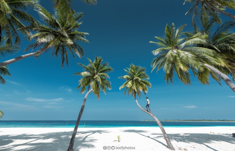 ހަލާލު ޓޫރިޒަމަށް 6 ރަށެއް، އަގުތައް މިލިއަނުން ތިރި