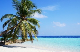 The Maldives is a notable destination for its rich plethora of eco-friendly properties