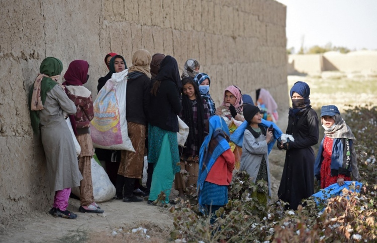 އަފްޣާނަށް އެހީވުމުގެ ބައްދަލުވުން ޕާކިސްތާނުގައި