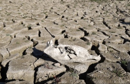 A picture shows drought around the Doueisat (Duwaysat) dam outside the town of al-Diriyah in Syria's northern Idlib province on November 9, 2021. - Low rainfall, structural damage and extraction by struggling farmers have emptied a key reservoir in northwestern Syria, leaving it completely dry for the first time, farmers and officials told AFP. -- Photo: Abdulaziz Ketaz/ AFP