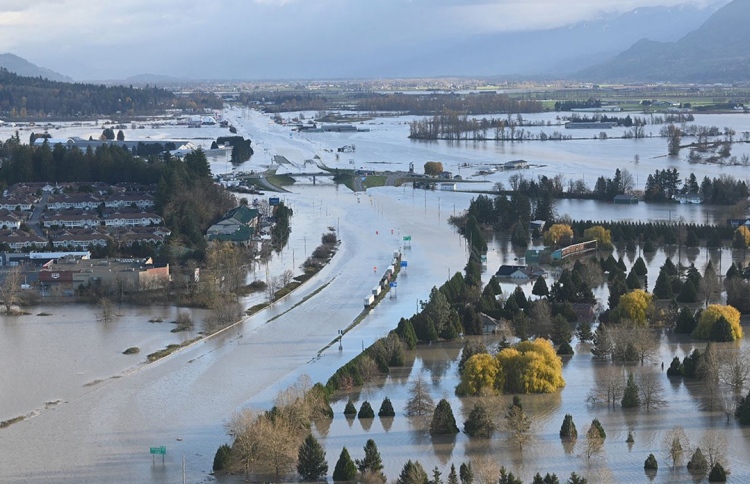 މޫސުން ގޯސްވެ ވެންކޫވާގެ ދަތުރުފަތުރު ހުއްޓުމަކަށް