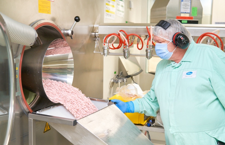 ފައިޒާގެ ކޮވިޑް ގުޅަ ބޭހަށް އެމެރިކާގައި ހުއްދަ ހޯދަނީ