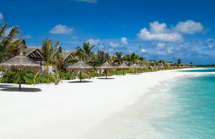 އިންވެސްޓްކުރުމުން ރާއްޖޭގައި ދިގުމުއްދަތަށް ދިރިއުޅެވޭނެ