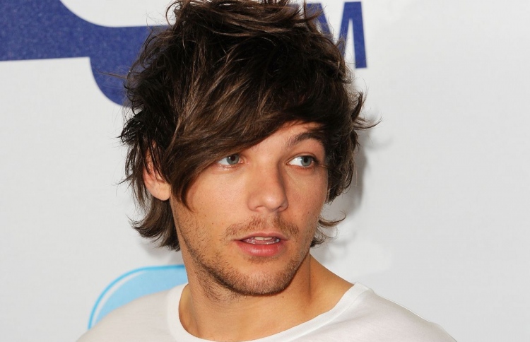 "ވަން ޑިރެކްޝަން" ގެ މެމްބަރަކަށް ރެކޯޑެއް