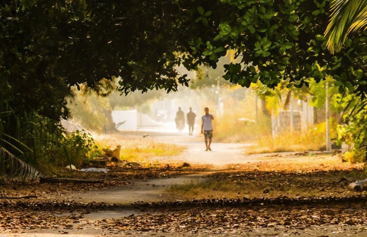 ކުއްޖަކު ފޮރުވައި ބައްޕައަށް ވަޅިން ބިރުދައްކައިފި