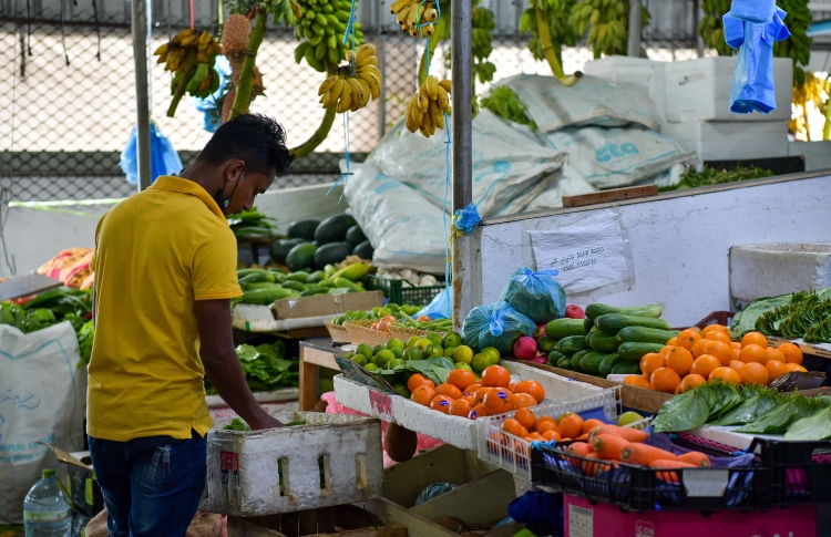 ބިދޭސީންގެ ނުސީދާ ވިޔަފާރި ހުއްޓުވާ ބިލު ފާސްކޮށްފި