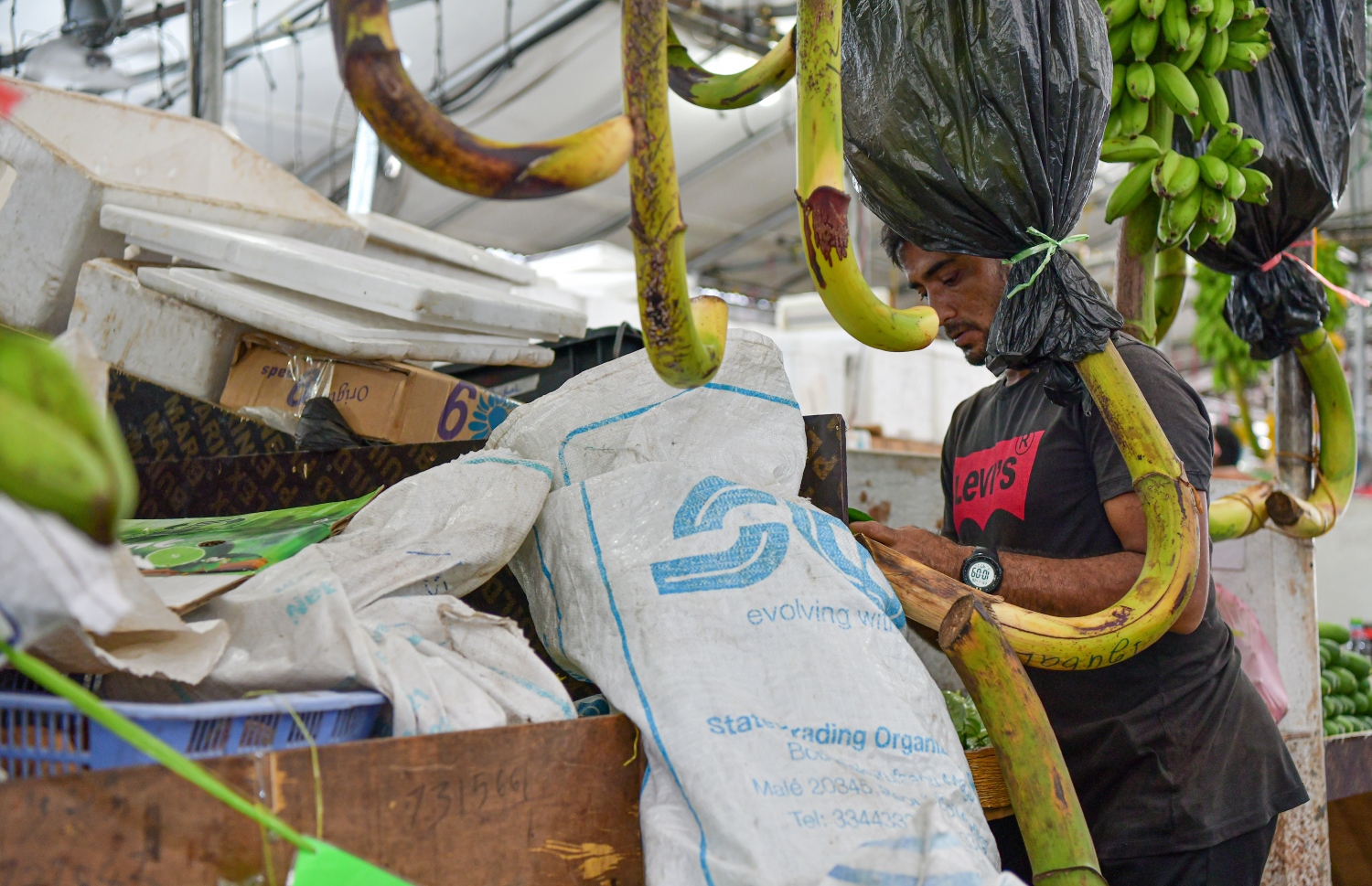 މާރުކޭޓުގެ ގޮޅިއެއްގައި ބިދޭސީއަކު: ބިދޭސީން އެކަނި ތިބެގެން ހިންގާަ ގޮޅިތައް ވެސް އެބަހުރި-- ފޮޓޯ: ފަޔާޒު މޫސާ/މިހާރު