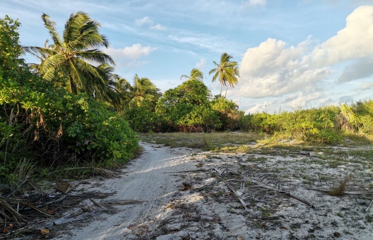 ބޮޑުފިނޮޅު ސަރުކާރަށް ނަގަންޖެހޭ: މިނިސްޓަރު