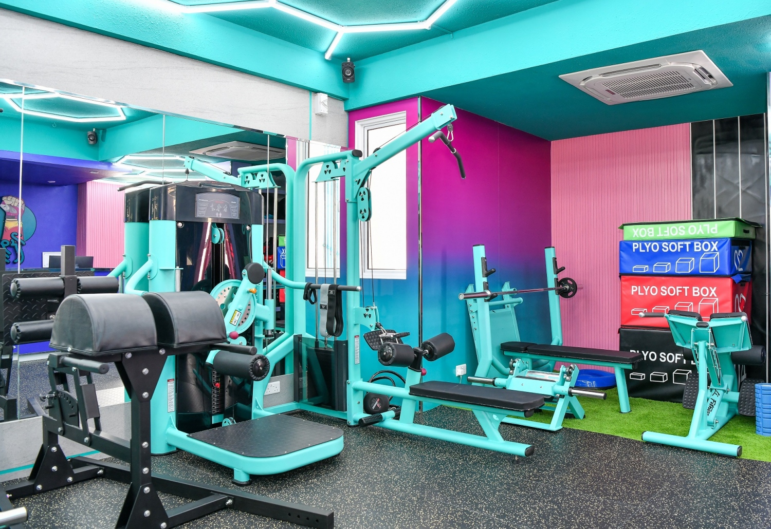 ވީރު ޖިމްގެ ތެރެއިން --- ދޯ ފޮޓޯ : ފަޔާޒް މޫސާ