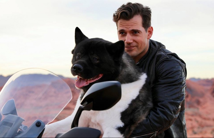 ކެވިލްގެ ހުރިހާ ވެސް އެއްޗަކީ ކުއްތާ