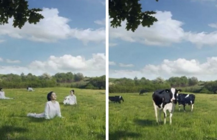 އަންހެނުންތަކެއް ގެރީގެ ގޮތުގައި ދެެއްކުމުން ހޫނުވެއްޖެ